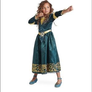 Disney Merida (Brave) Halloween costume